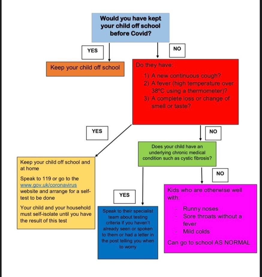 Flow chart providing advice to parents on whether they should send their child back to school. A description of the flow chart can be accessed at the attached link.